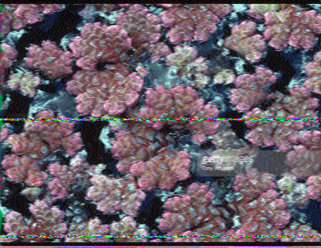 SSTV image