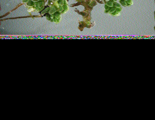 SSTV image