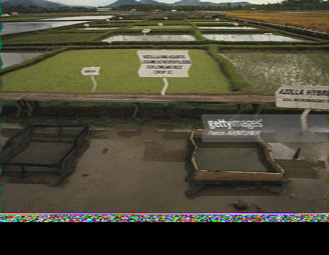 SSTV image
