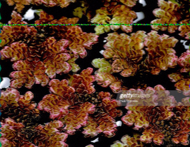 SSTV image