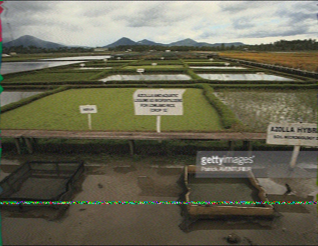 SSTV image