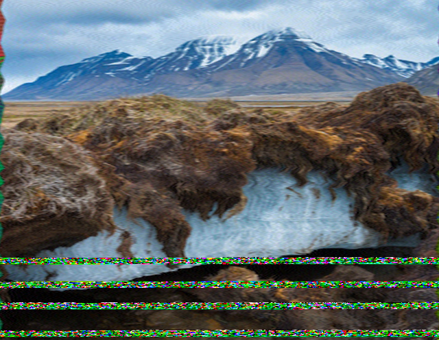 SSTV image